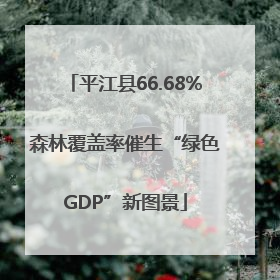 平江县66.68%森林覆盖率催生“绿色GDP”新图景