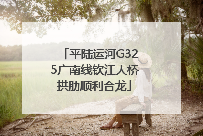 平陆运河G325广南线钦江大桥拱肋顺利合龙