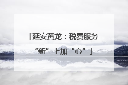 延安黄龙：税费服务“新”上加“心”