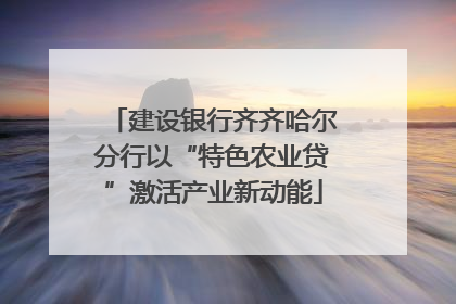 建设银行齐齐哈尔分行以“特色农业贷”激活产业新动能