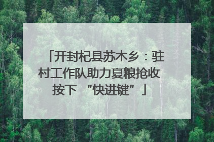 开封杞县苏木乡：驻村工作队助力夏粮抢收按下 “快进键”