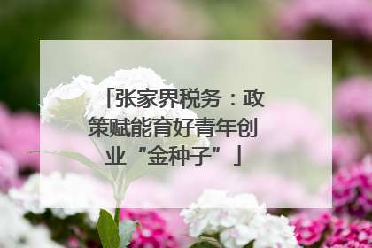 张家界税务：政策赋能育好青年创业“金种子”