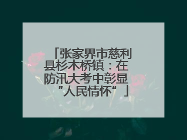张家界市慈利县杉木桥镇：在防汛大考中彰显“人民情怀”