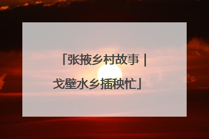 张掖乡村故事｜戈壁水乡插秧忙