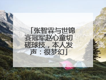 张智霖与世锦赛冠军赵心童切磋球技，本人发声：很梦幻