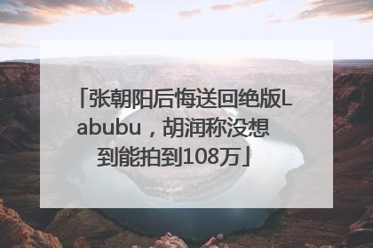 张朝阳后悔送回绝版Labubu，胡润称没想到能拍到108万
