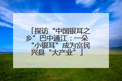 探访“中国银耳之乡”巴中通江：一朵“小银耳”成为富民兴县“大产业”