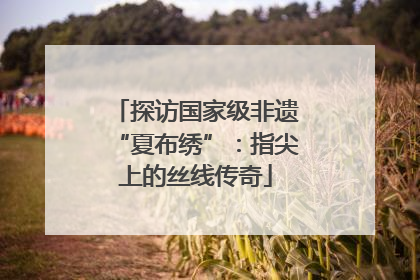 探访国家级非遗“夏布绣”：指尖上的丝线传奇
