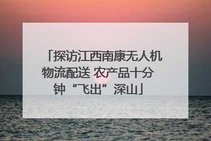 探访江西南康无人机物流配送 农产品十分钟“飞出”深山