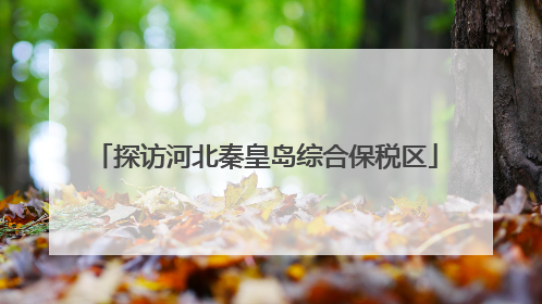 探访河北秦皇岛综合保税区
