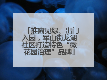 推窗见绿、出门入园，军山街龙湖社区打造特色“微花园治理”品牌