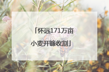 怀远171万亩小麦开镰收割