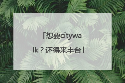 想要citywalk？还得来丰台