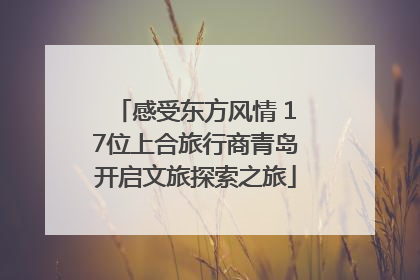 感受东方风情 17位上合旅行商青岛开启文旅探索之旅
