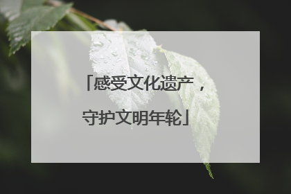 感受文化遗产，守护文明年轮