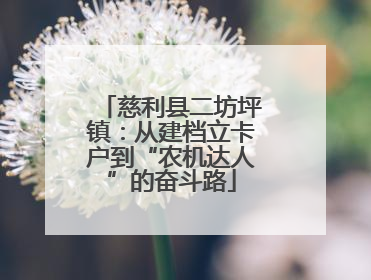 慈利县二坊坪镇：从建档立卡户到“农机达人”的奋斗路