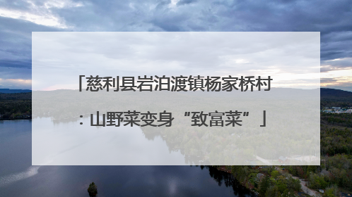 慈利县岩泊渡镇杨家桥村：山野菜变身“致富菜”