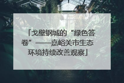 戈壁钢城的“绿色答卷”——嘉峪关市生态环境持续改善观察