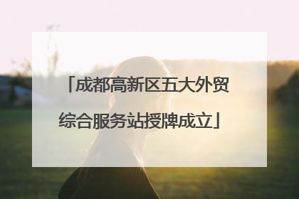 成都高新区五大外贸综合服务站授牌成立