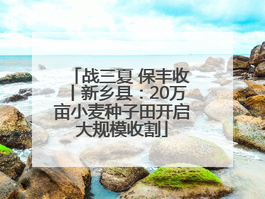 战三夏 保丰收丨新乡县：20万亩小麦种子田开启大规模收割