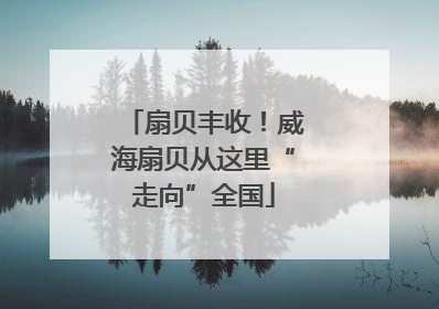 扇贝丰收！威海扇贝从这里“走向”全国