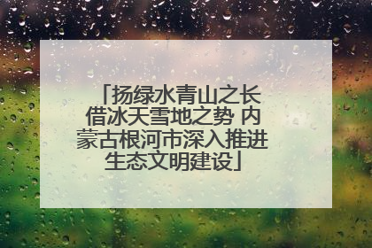扬绿水青山之长 借冰天雪地之势 内蒙古根河市深入推进生态文明建设