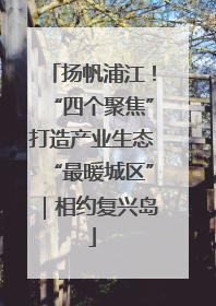 扬帆浦江！“四个聚焦”打造产业生态“最暖城区”｜相约复兴岛