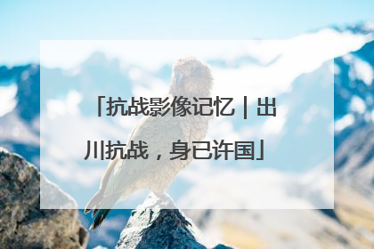 抗战影像记忆｜出川抗战，身已许国