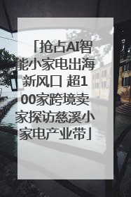 抢占AI智能小家电出海新风口 超100家跨境卖家探访慈溪小家电产业带