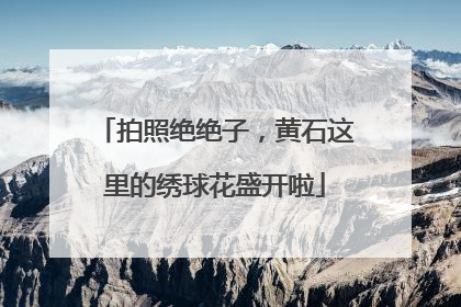 拍照绝绝子，黄石这里的绣球花盛开啦