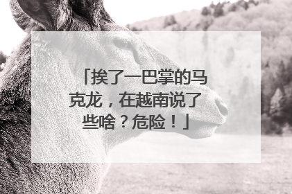 挨了一巴掌的马克龙，在越南说了些啥？危险！
