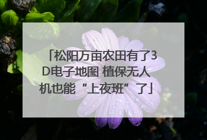 松阳万亩农田有了3D电子地图 植保无人机也能“上夜班”了