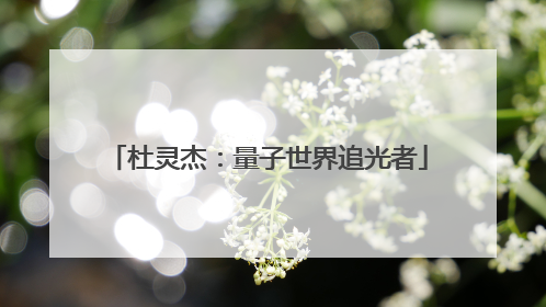 杜灵杰：量子世界追光者