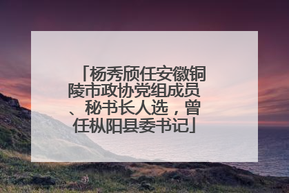 杨秀颀任安徽铜陵市政协党组成员、秘书长人选，曾任枞阳县委书记