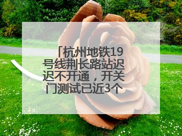 杭州地铁19号线荆长路站迟迟不开通，开关门测试已近3个月？回应来了