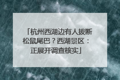 杭州西湖边有人拔断松鼠尾巴？西湖景区：正展开调查核实