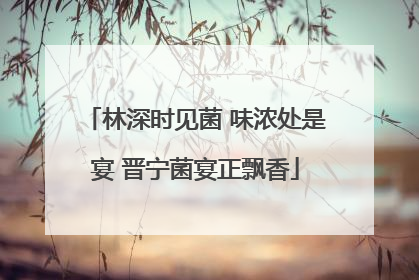 林深时见菌 味浓处是宴 晋宁菌宴正飘香