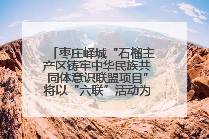 枣庄峄城“石榴主产区铸牢中华民族共同体意识联盟项目”将以“六联”活动为抓手深化品牌建设