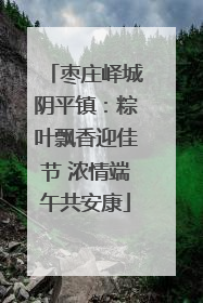 枣庄峄城阴平镇：粽叶飘香迎佳节 浓情端午共安康