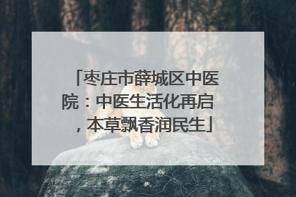 枣庄市薛城区中医院：中医生活化再启，本草飘香润民生