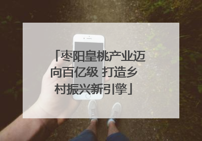 枣阳皇桃产业迈向百亿级 打造乡村振兴新引擎