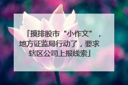 摸排股市“小作文”，地方证监局行动了，要求辖区公司上报线索