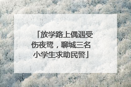 放学路上偶遇受伤夜鹭，聊城三名小学生求助民警
