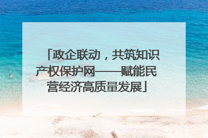 政企联动，共筑知识产权保护网——赋能民营经济高质量发展