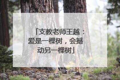 支教老师王越：爱是一棵树，会撼动另一棵树