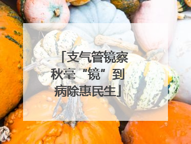 支气管镜察秋毫“镜”到病除惠民生