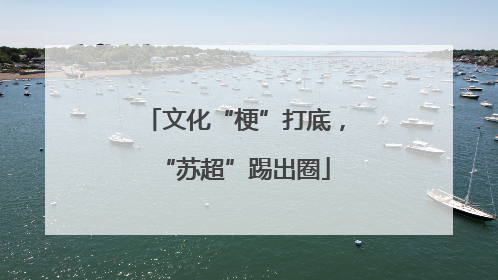 文化“梗”打底，“苏超”踢出圈