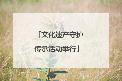 文化遗产守护传承活动举行
