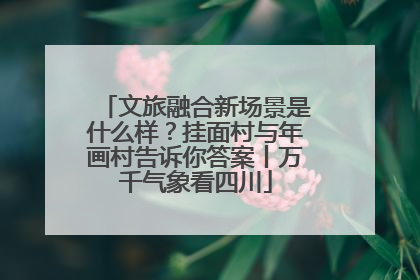 文旅融合新场景是什么样？挂面村与年画村告诉你答案丨万千气象看四川