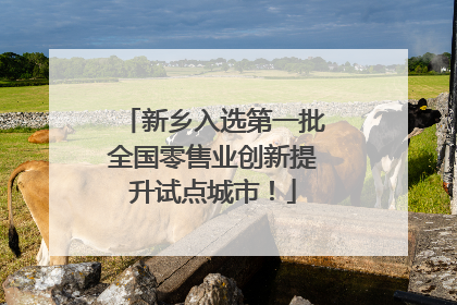 新乡入选第一批全国零售业创新提升试点城市！
